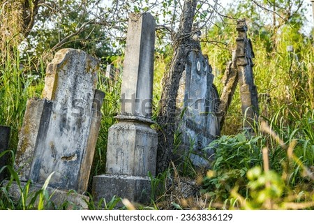 An old abandoned cemetery in Trstenik Serbia