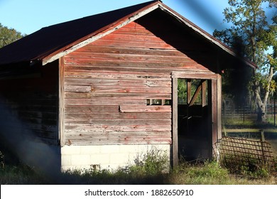 Old Abandoned Chicken Coop In Largo, FL