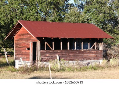 Old Abandoned Chicken Coop In Largo, FL