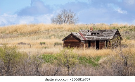 Old abandoned farm in Colorado.  Blue and white sky, clouds, brown grasses.  Rustic old building. Tan grasses with brown abandoned cabin on the Front Range of Colorado. - Powered by Shutterstock