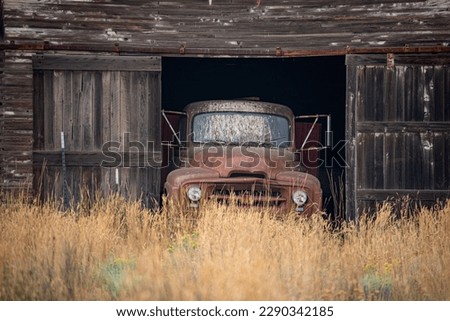 Old abandoned farm truck sits peeking at the world around it from the safety of a dilapidated barn