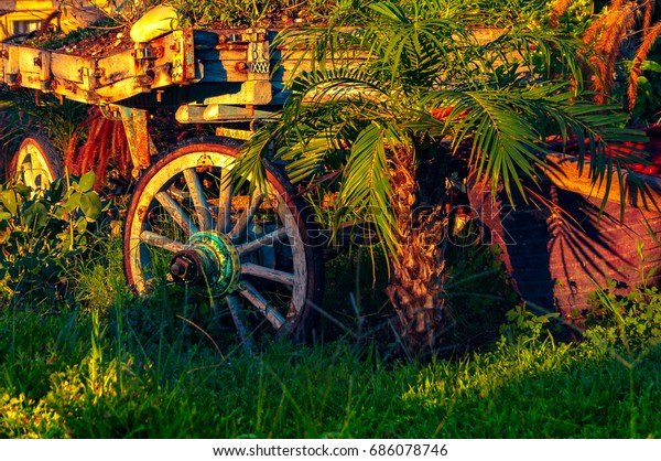 Old\
abandoned horse cart surrounded by\
vegetation