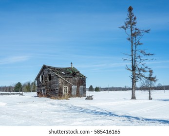 Old Abandoned House
