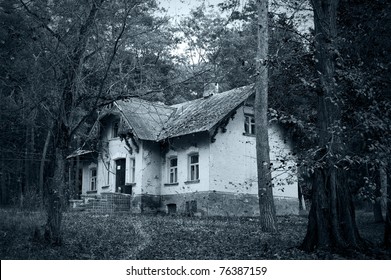 old abandoned house in a dense forest