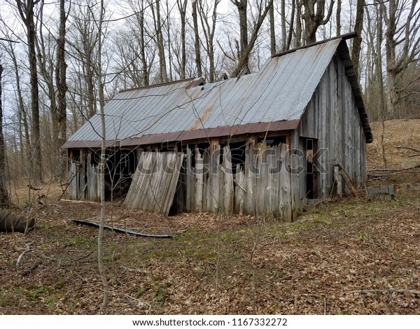 Old Abandoned Maple Syrup Sugar Shack Stock Photo Edit Now