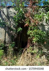 Old Abandoned Office Room Railway Station Building In The Middle Of A Mossy And Rickety Middle Of Nowhere