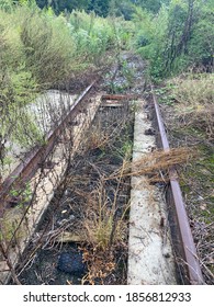 Old Abandoned Railroad Tracks In Newborn Georgia