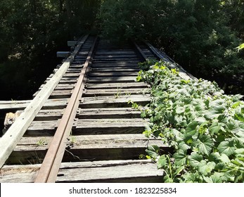 Old abandoned railway bridge overgrown with vegetation. Wooden rail tracks in average condition with leaves on them. Taken in July in Lansing, Michigan, USA.