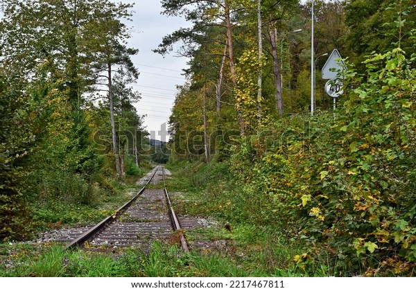 Old\
abandoned railway track running through a mixed forest in autumn.\
It is disappearing in diminishing perspective. The foliage  of\
deciduous trees is partially yellow and golden.\
