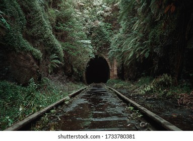 Old, abandoned railway tunnel in the middle of tropical forest - Powered by Shutterstock