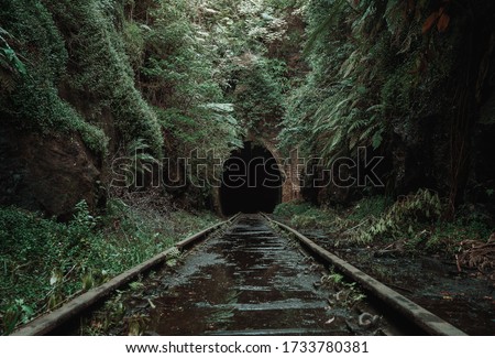 Old, abandoned railway tunnel in the middle of tropical forest