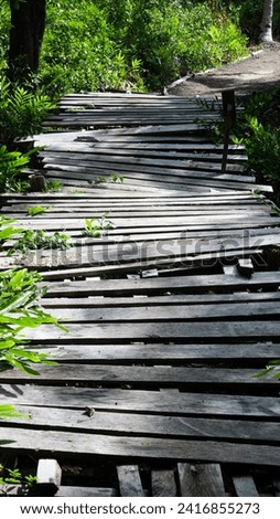 Old abandoned rickety foot bridge in dense rainforest wilderness on a remote tropical island in Raja Ampat, West Papua, Indonesia