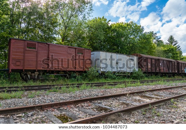 Old and abandoned set of train cars used for\
cargo transportation standing on some old railroad tracks,\
vegetation beginning to grow around\
them.