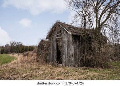 An Old Abandoned Shack In The Country. 