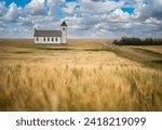 The old and abandoned St. Elizabeth Mission Roman Catholic Church outside Gravelbourg, SK, Canada with a wheat field in the foreground