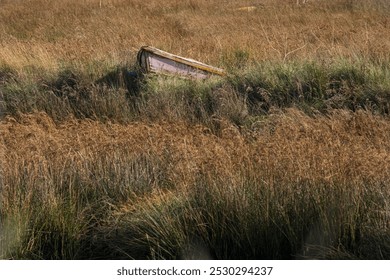 An old abandoned wood boat in flooded vegetation - Powered by Shutterstock