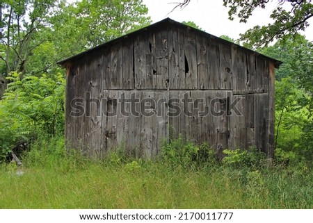 An old abandoned wooden garage with an overgrown driveway.