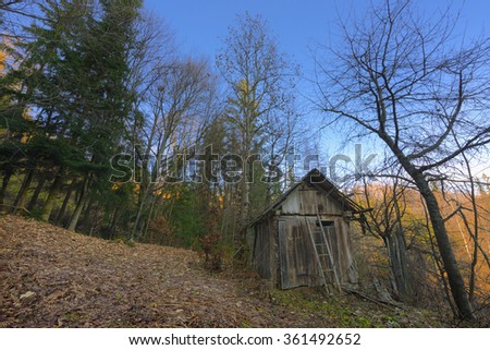 old abandoned wooden hut in the forest