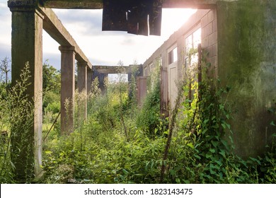 Old abandoned wrecked house overgrown with green ivy and plants - Powered by Shutterstock