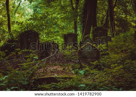 Old Abbadoned Jewish cematery in poland
