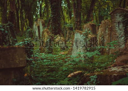 Old Abbadoned Jewish cematery in poland
