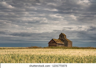 Old Agricultural Barn And Out Building Resting Near An Oil Field And Cannola Crops. North Dakota Property With Beautiful Imposing Skies.