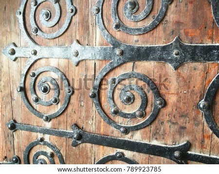 Old ancient door with beautiful metal work