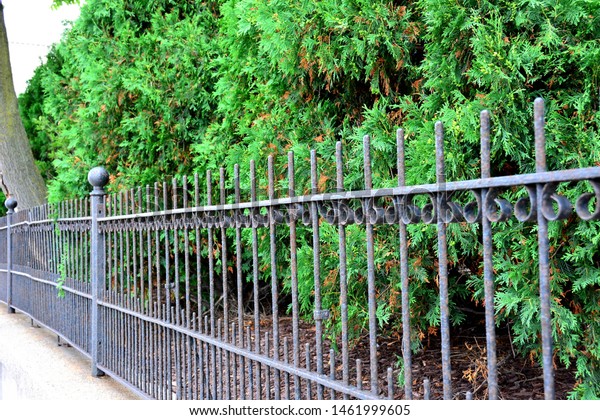 An old antique black rusted fence line\
with selective focus with green hedges\
behind.