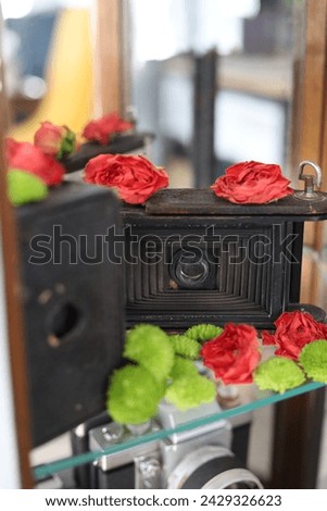 Old antique cameras decorated with flowers