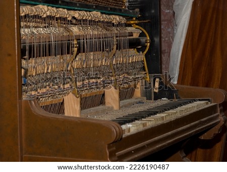 An old, antique and devastated piano . A stringed musical instrument. The sound is produced when the hammers hit the strings. In other words, the anatomy of a piano .