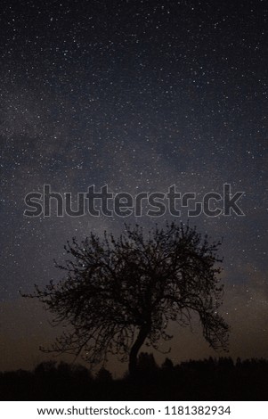 Similar – Image, Stock Photo Apple tree at night (with moon)
