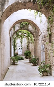 Old arcade, corridor and flowers in the pots