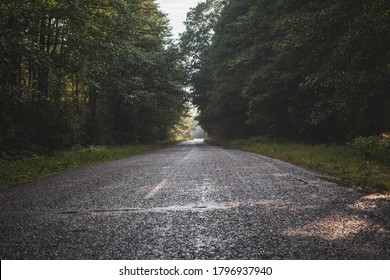An old asphalt road through the forest after rain. Crowns of trees along the road.
