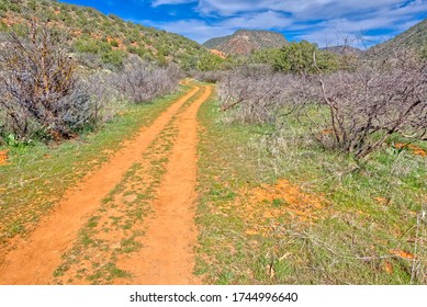 An Old ATV Trail Running Through Woods Canyon South Of Sedona AZ.