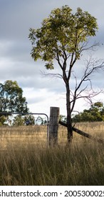 Old Australian Farm Gate. Rural Farm Australia