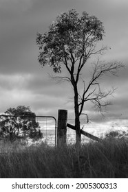 Old Australian Farm Gate. Rural Farm Australia. Black And White. Black And White Farm Gate