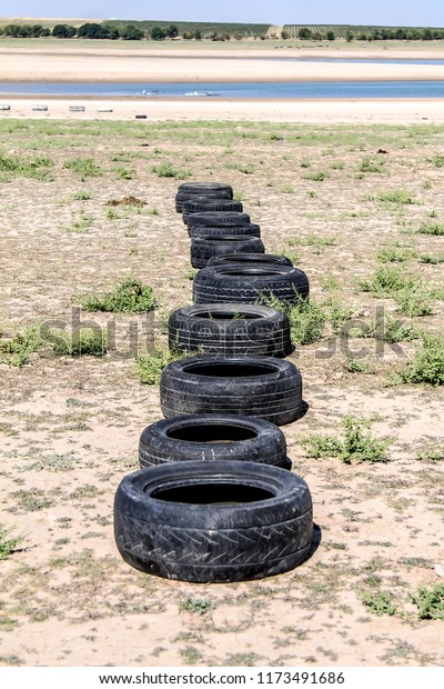 Old auto tires in\
nature