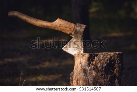 The old axe in the chopping block