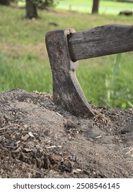 An old axe embedded in a weathered tree stump in a forest clearing, surrounded by chopped wood and greenery