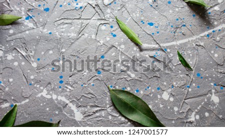 Image, Stock Photo Ivy Wall Environment