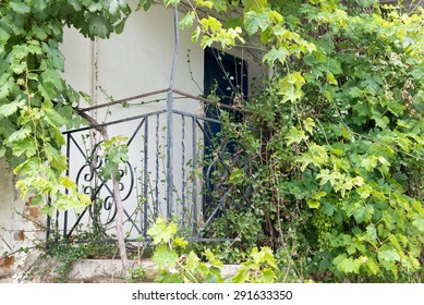 Old Balcony Of A Run Down House Over Grown With Vines