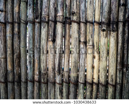 Old bamboo fence  Organic Background 
 woodenTexture
