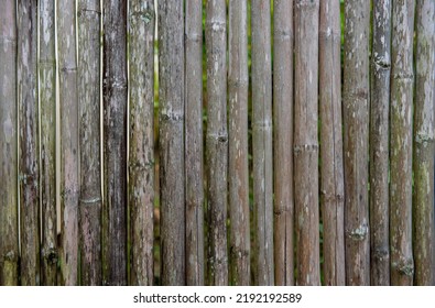 17,684 Japanese bamboo fence Images, Stock Photos & Vectors | Shutterstock