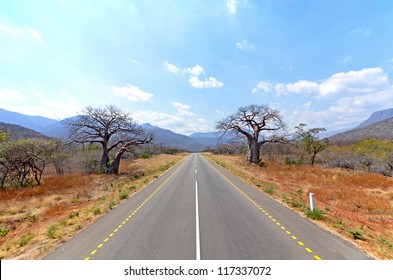 Old Baobab Trees Along Straight Road With Mountains In The Background