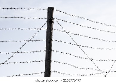 Old barbed wire and a wooden post against a pale sky. Barbed wire fence. - Powered by Shutterstock