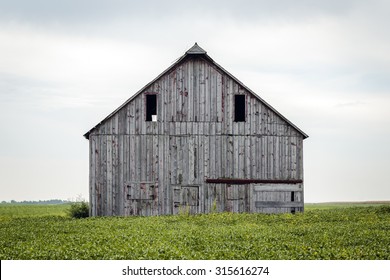 An Old Barn in a Bean Field