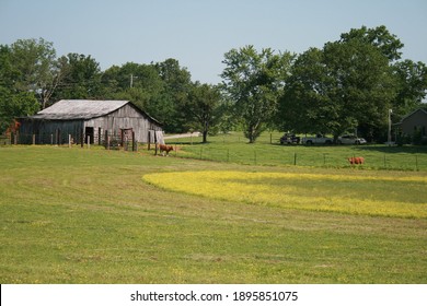 Old Barn In Bowling Green, Kentucky