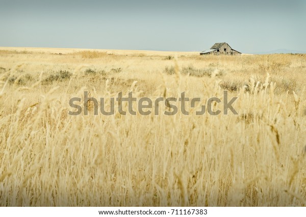 Old Barn Creston Washington State Abandoned Buildings Landmarks