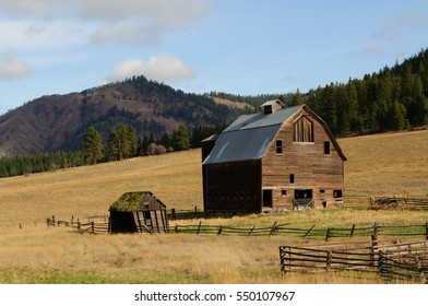 Old Barn in Field