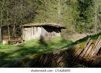 Old barn in the forest